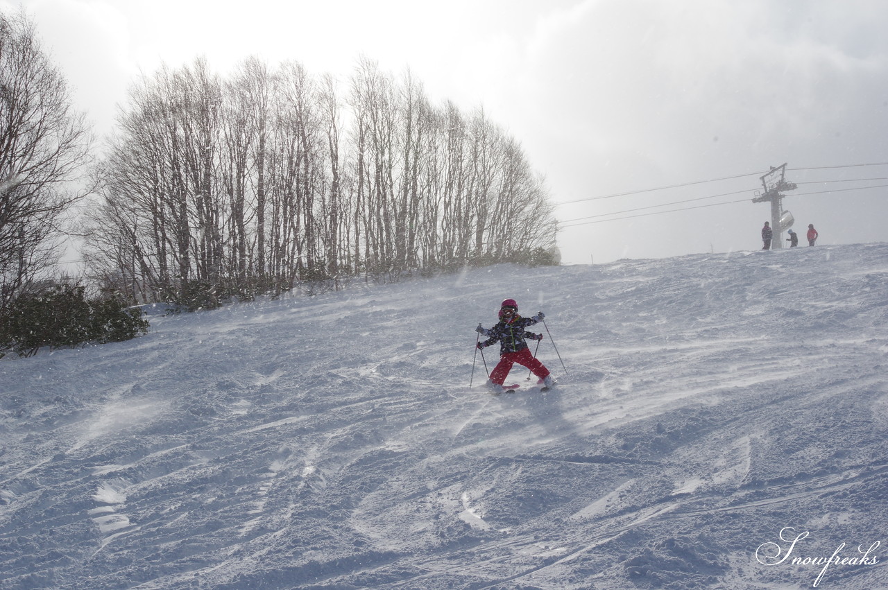 札幌国際スキー場 これぞ北海道。粉雪が降り積もったゲレンデはコンディション良好！そして、早くも全コース滑走可能です(*^^)v